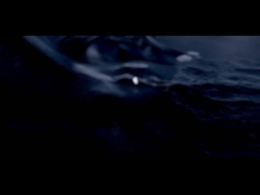 D6S ((टैंक के साथ)