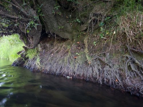 चीन के बारे में नवीनतम समाचार नदी क्षरण से निलंबित कणः वायु की गुणवत्ता और वायु शोधक की आवश्यकता पर उनके प्रभाव को समझना